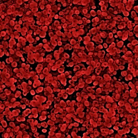 Hemoglobin (Hb) binds 85% of the oxygen; the rest is physically dissolved in the plasma. . Blood under microscope